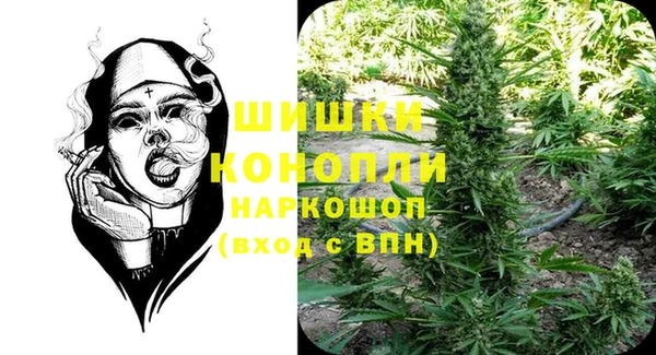 PSILOCYBIN Беломорск